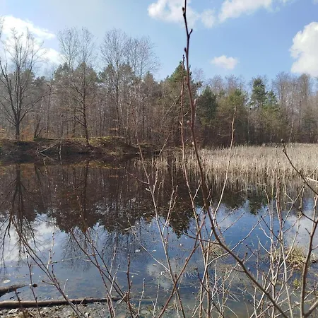 Himmelsscheibe Querfurt