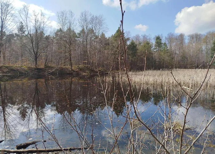 Himmelsscheibe Querfurt